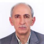 دکتر نسیم اویسی | بیمارستان سیدالشهداء یزد