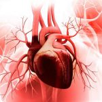 مراقبت از بیماری های دریچه ای قلب با علائم و مراقبت از بیماری های دریچه ای قلب آشنا شوید | بیمارستان سیدالشهداء یزد