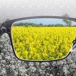 روز آگاهی از کوررنگی | بیمارستان سیدالشهداء یزد