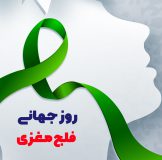 فلج مغزی (CP) یک پدیده جهانی ناخواسته است. روز جهانی فلج مغزی، که هر سال در 6 اکتبر برگزار می شود، به ما یادآوری می کند که بیش از 17 میلیون نفر تحت تأثیر این اختلال قرار گرفته اند. CP یکی از شایع ترین ناتوانی های جسمی است که آسیب پذیرترین افراد در بین ما یعنی کودکان را تحت تأثیر قرار می دهد. این روز جهانی جنبشی برای کمک به ایجاد آگاهی و اقدام در مورد فلج مغزی است. امسال تبدیل به یک کاتالیزور برای تغییر در بهبود زندگی افراد مبتلا به فلج مغزی شوید. روز جهانی فلج مغزی | بیمارستان سیدالشهداء یزد