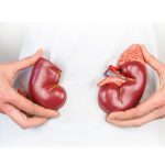 روز حمایت از بیماران کلیوی | بیمارستان سیدالشهداء یزد