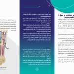 نحوه مراقبت از راههای دستیابی به عروق (فیستول و یا گرافت بین شریان و ورید) | بیمارستان سیدالشهداء یزد