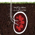 روز جهانی کلیه