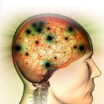 روز جهانی مننژیت