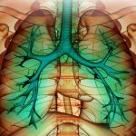 روز جهانی آسم و آلرژی